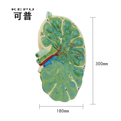 澳门威斯尼斯8883入口