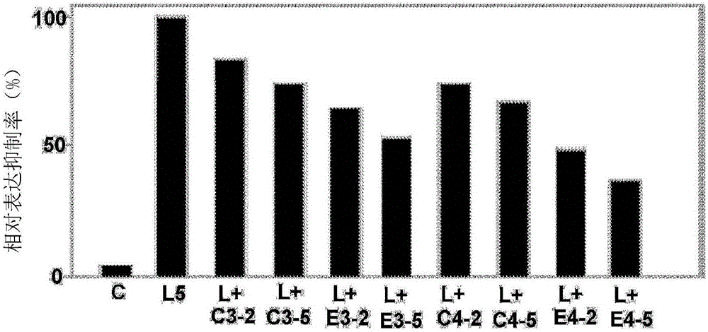 澳门威斯尼斯8883入口